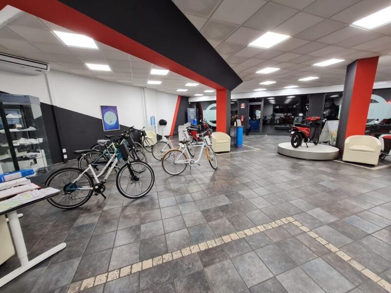 Showroom